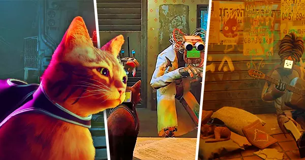 Here's Your One-Day Adventure Test As A Stray Cat