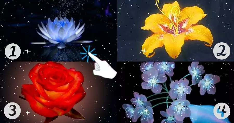 Toque Em Uma Flor M&aacute;gica Para Descobrir Quando Seu Novo Relacionamento Amoroso Come&ccedil;ar&aacute;!