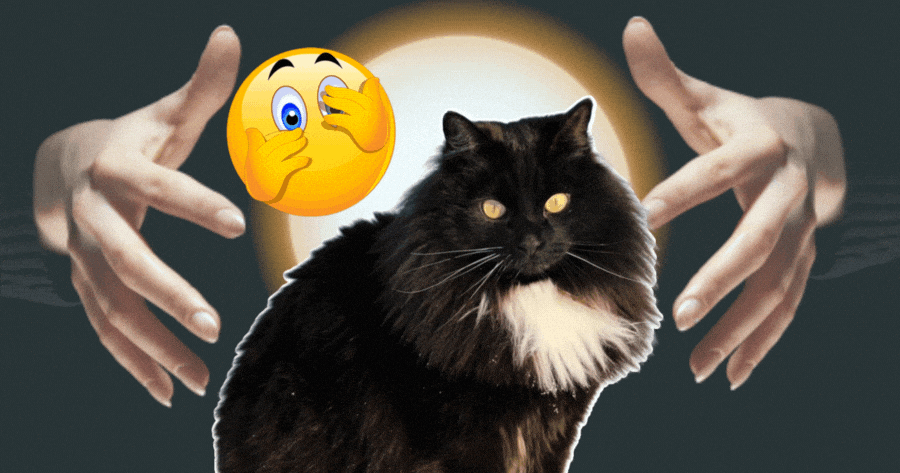 Um Desses Gatos M&iacute;sticos Tem Uma Mensagem Para Voc&ecirc;!