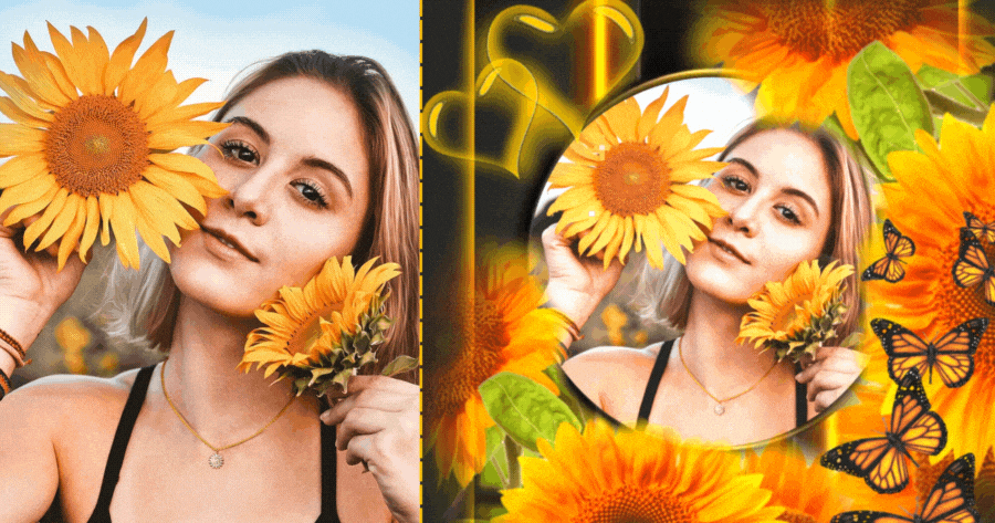 Lindos Girass&oacute;is e Borboletas | Adicione Sua Foto Agora!