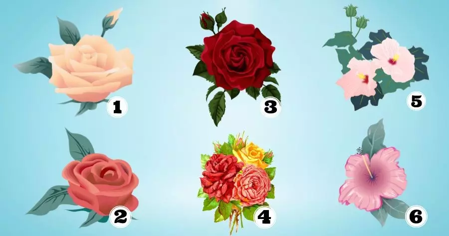 Escolha A Rosa Mais Bonita E Conhe&ccedil;a O Seu Tra&ccedil;o Especial!