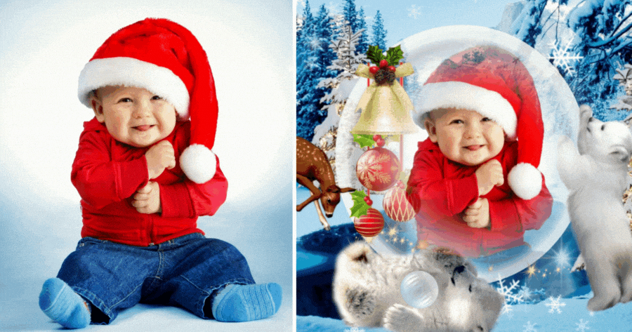 Crie a sua foto de Natal com o Urso Polar!