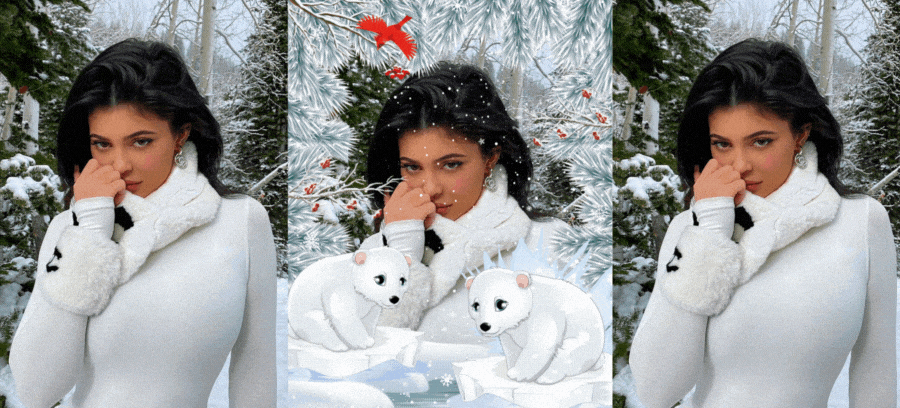 These Beautiful Polar Bears Next To Your Photo In This Winter Frame