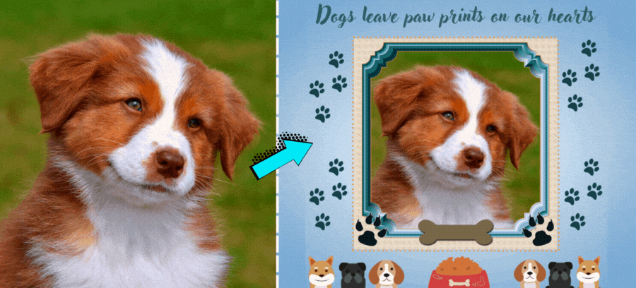 Your Precious Doggy Looks Perfect In This Wonderful Pet Frame 🐶