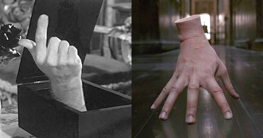 If You Have A Pet Hand, What It Looks Like?