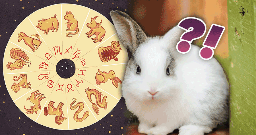 What Chinese Zodiac Symbol Are You?