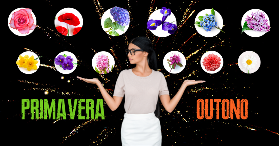 Escolha As Flores Sazonais Mais Bonitas E Adivinharemos Sua Melhor Caracter&iacute;stica