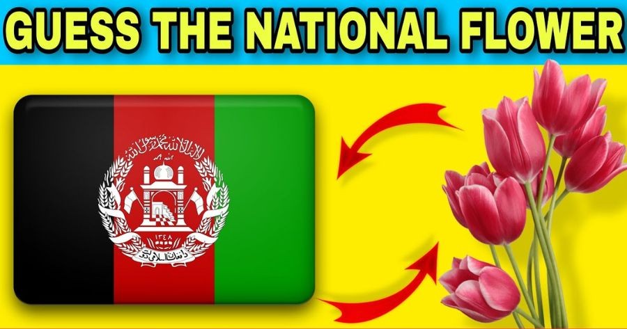 Guess The National Flowers By Flag Challenge! Only 1% Can Ace It! 💐