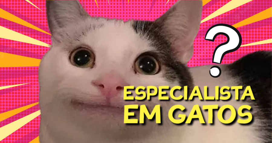 Quiz Definitivo Sobre Gatos: Voc&ecirc; &eacute; Um Especialista Em Gatos?