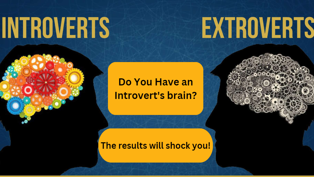 Do You Have An Introvert's Brain?