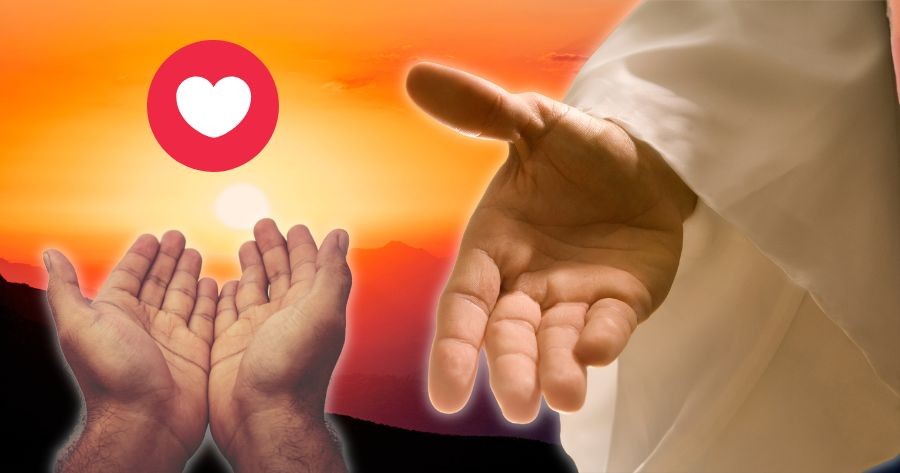 f242cfafd9b2496b4a75c5e8396c6585 相关图片