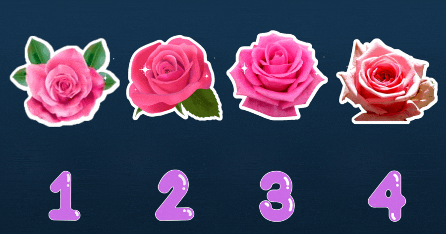 Die pinke Rose, die du w&auml;hlst, verr&auml;t dir, wer gerade in dich verknallt ist