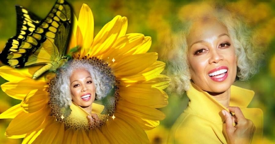 📸🌻 Tire uma Foto de Girassol "Flores Radiantes" Aqui!