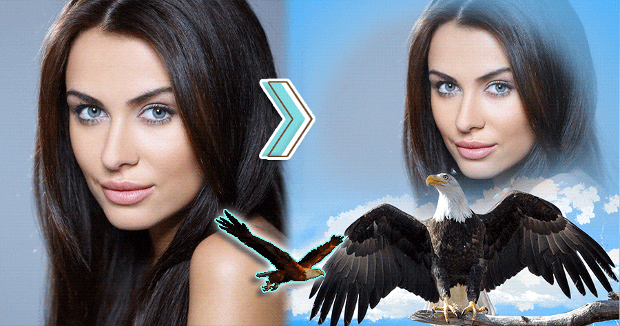 Soar Into The Sky With Your Eagle Friend With This Frame 🦅