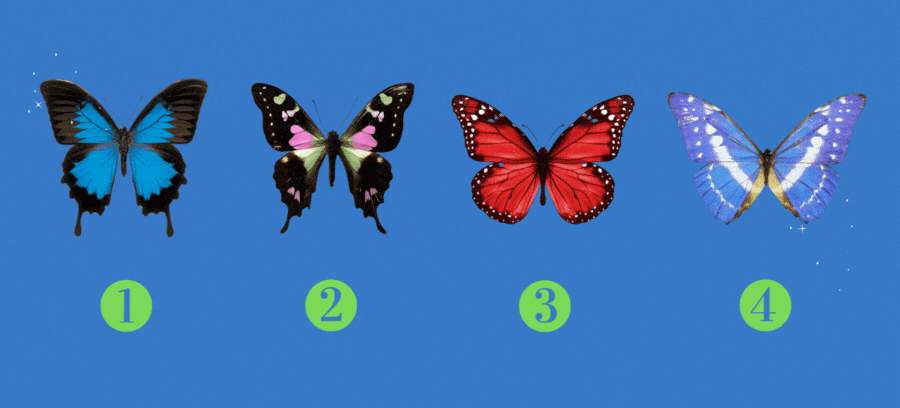 Choisissez un papillon pour vous r&eacute;v&eacute;ler la meilleure chose qui vous arrivera bient&ocirc;t !