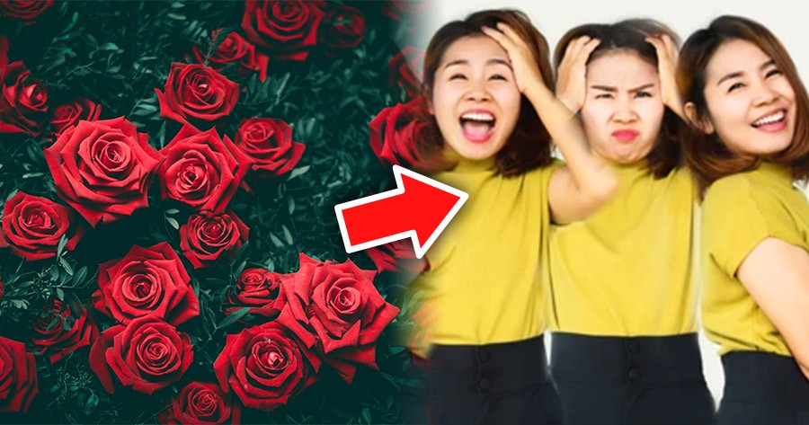 Chọn b&ocirc;ng hồng y&ecirc;u th&iacute;ch của bạn v&agrave; kh&aacute;m ph&aacute; t&iacute;nh c&aacute;ch kh&aacute;c thường của bạn.