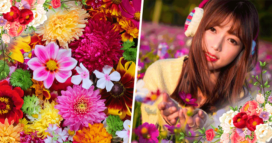 B&ocirc;ng hoa n&agrave;o tượng trưng cho ng&agrave;y sinh cuả bạn?