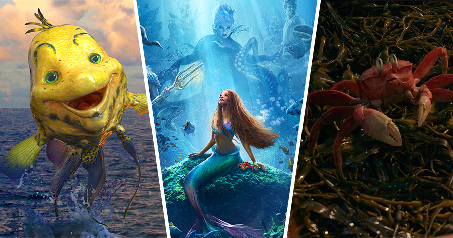 Which Little Mermaid Sea Creature Are You Most Like?