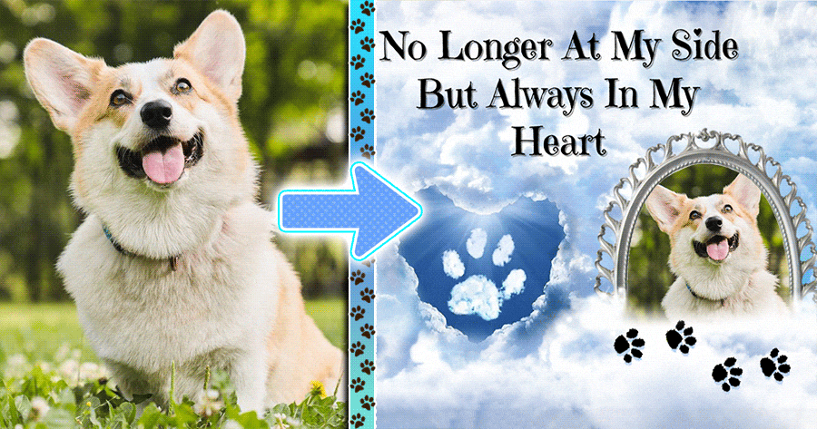 Keep The Memory Of Your Pet Alive Using This Heaven Frame! 🐾