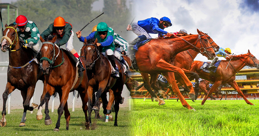 Put Your Horse Racing Knowledge To The Test With This Quiz