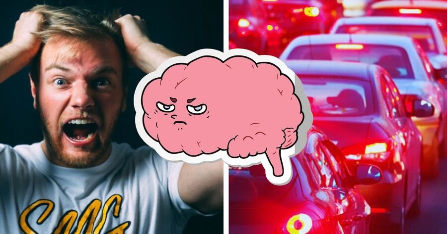 Traffic Tamer: L&agrave;m thế n&agrave;o để tho&aacute;t khỏi tắc đường?