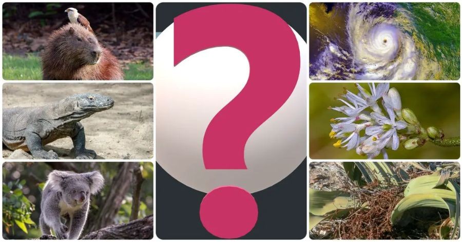 আপনি কি প্রাকৃতিকে ভালোবাসেন? আপনার জ্ঞান পরীক্ষা করুন!