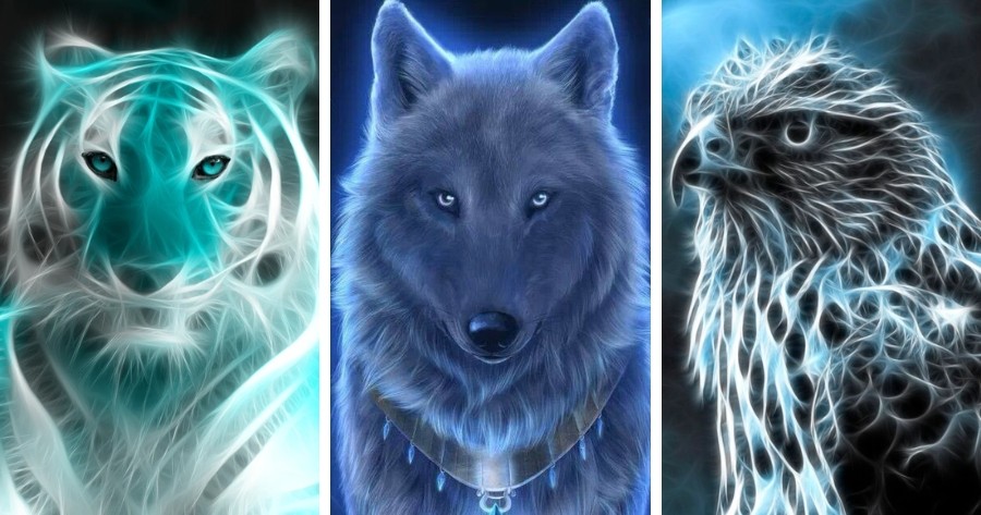 Qual &Eacute; O Seu Animal Espiritual? Descubra!