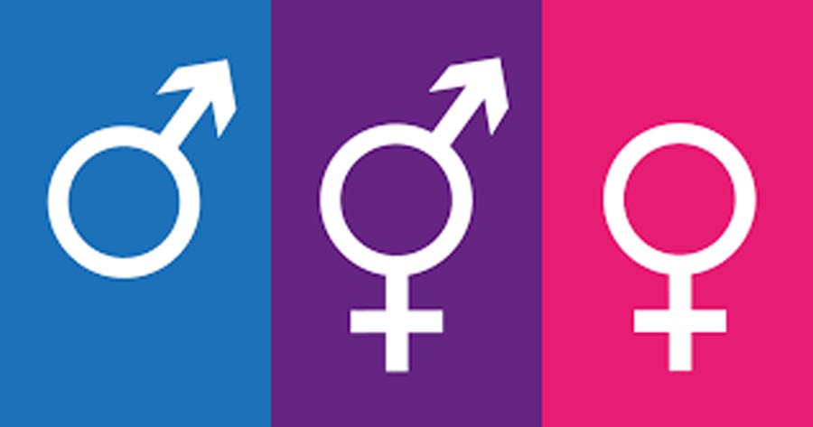 How Much Do You Know About Gender Pronouns?