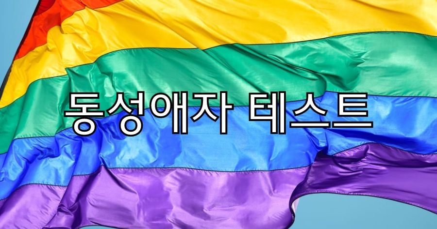 게이가 아니면 이 6문제 테스트를 통과하는 것을 좋은운을 빕니다!
