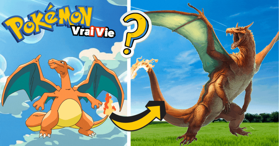 Quel Pok&eacute;mon Serais-Tu S'Ils &Eacute;taient Dans La Vraie Vie ?