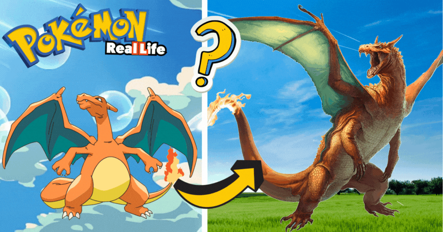 Which Pok&eacute;mon You&rsquo;d Be If They Were In The Real Life?