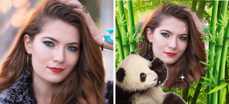 Take A Photo With A Lovely Panda In The Jungle! 🐼