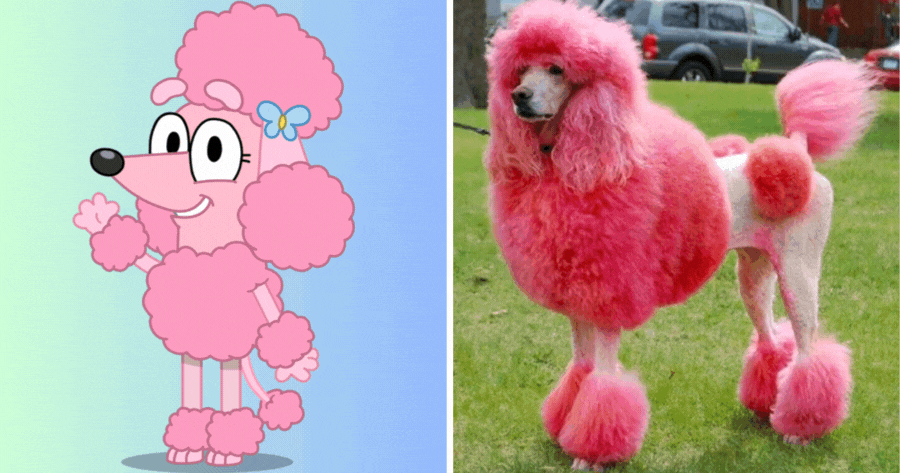 Can You Recognize These BLUEY Characters In Real Life?