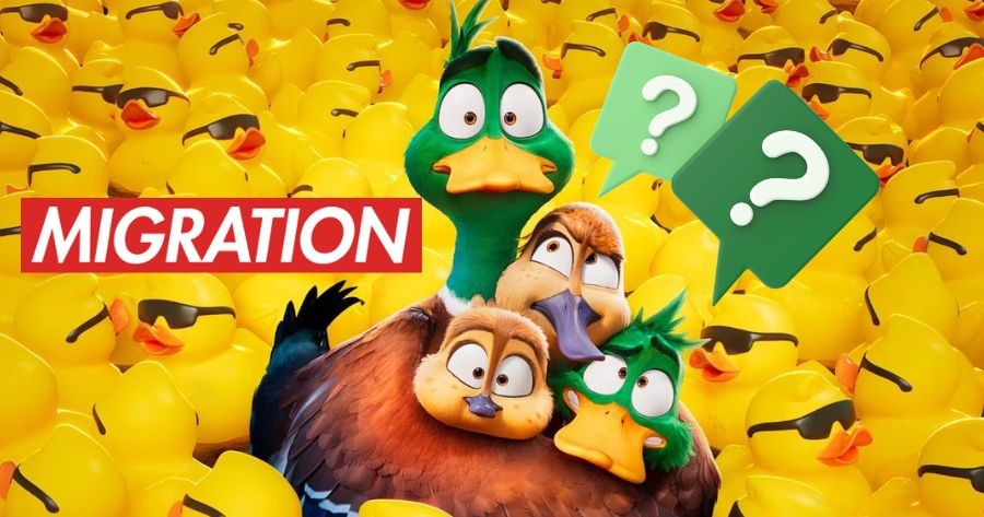 Which Migrant Character Are You?