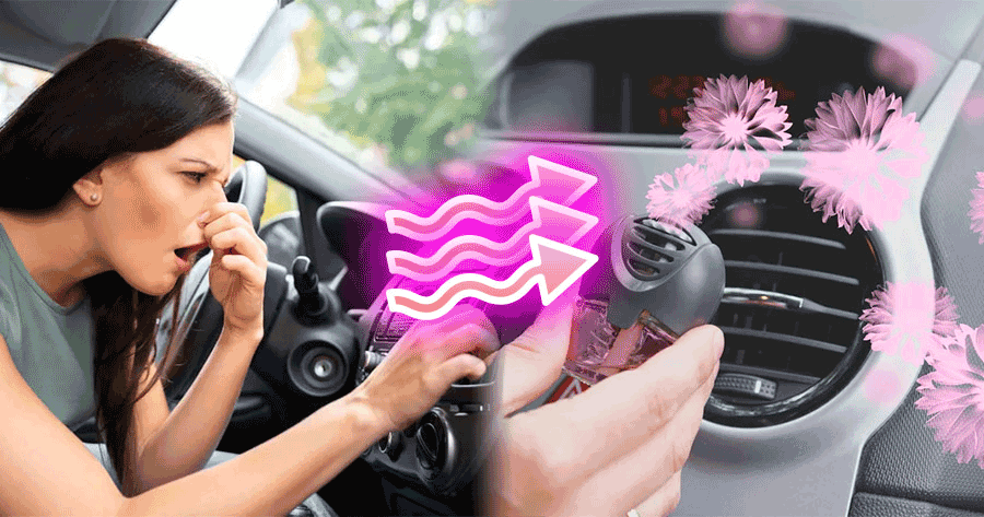 Fresh Ride: How To Remove Odors From Your Car In This Quiz!