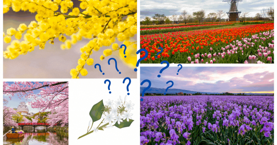 Guess The National Flowers And Uncover Your Botanical Identity