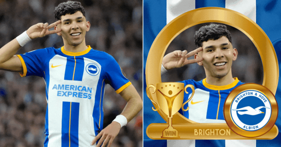 Seagulls Soaring: Support Brighton With This Photo Frame