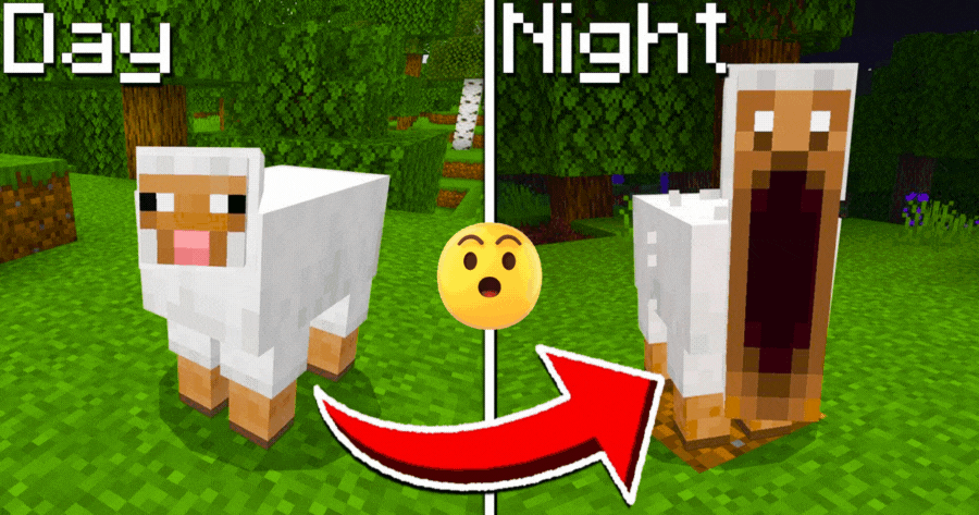 Minecraft Day Vs Night | Find Out Which GamePlay Moment Matches Your Real Vibe