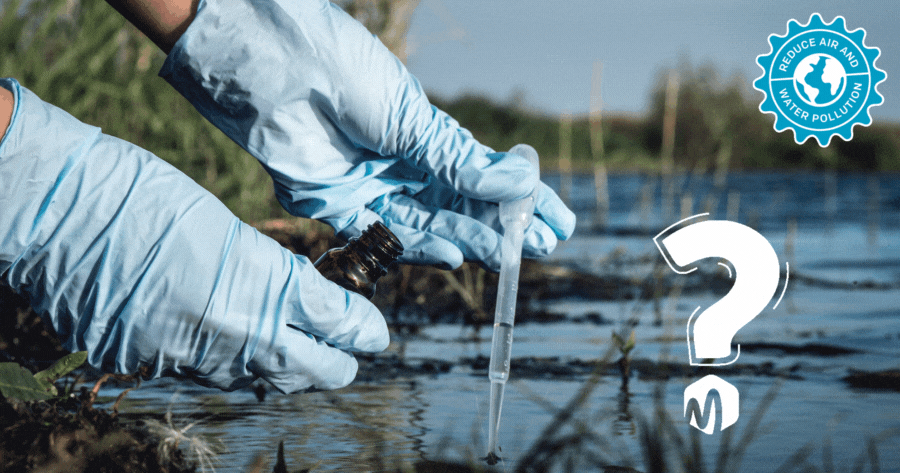 How Would You Deal With Water Pollution?