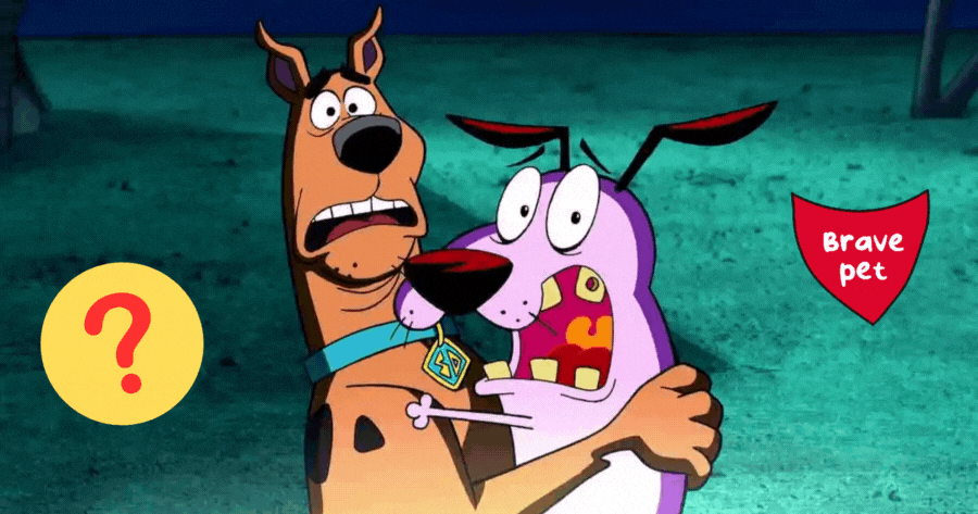 A GIF file with the key 894e9940675afcf4499401fa6898943a from August 27, 2023