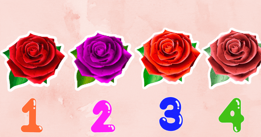Who Will Always Wait For You? Touch The Rose