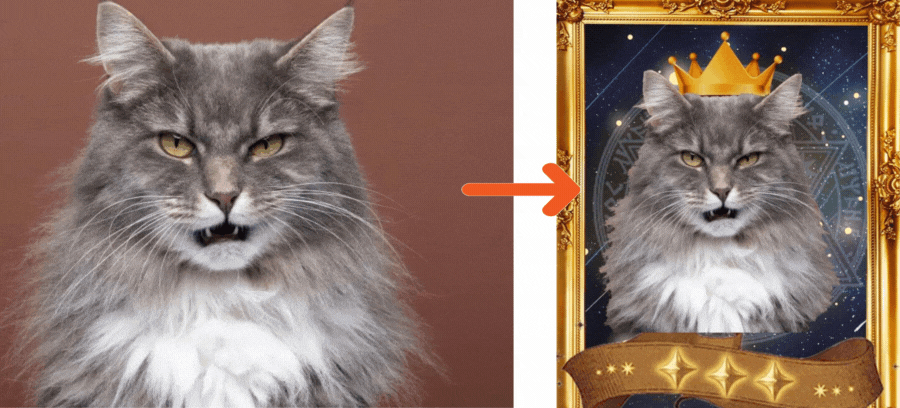 To Test The Rarity Of Your Pet, Five Stars Are The Highest Level