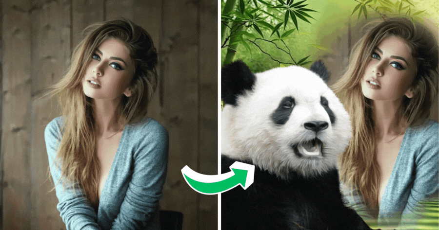 Laten we een foto maken met Cute Panda!