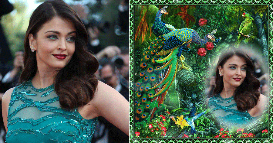 Long Live! Welcome Good Luck With Peacock Photo Frames