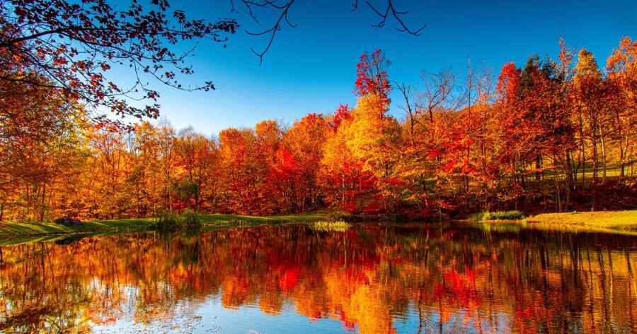 Ultimate Fall Lover's Quiz: Can You Score A Perfect 10/10?