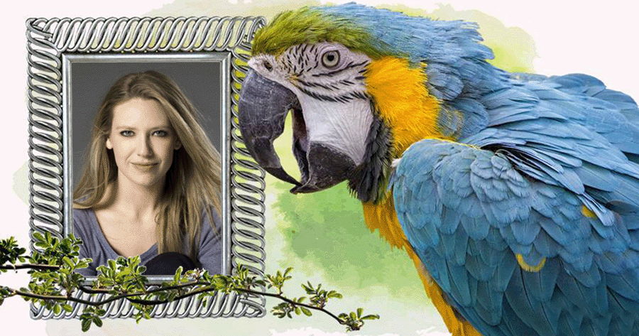 Beautiful Photo Frame With Blue Macaw! Add Your Photo!