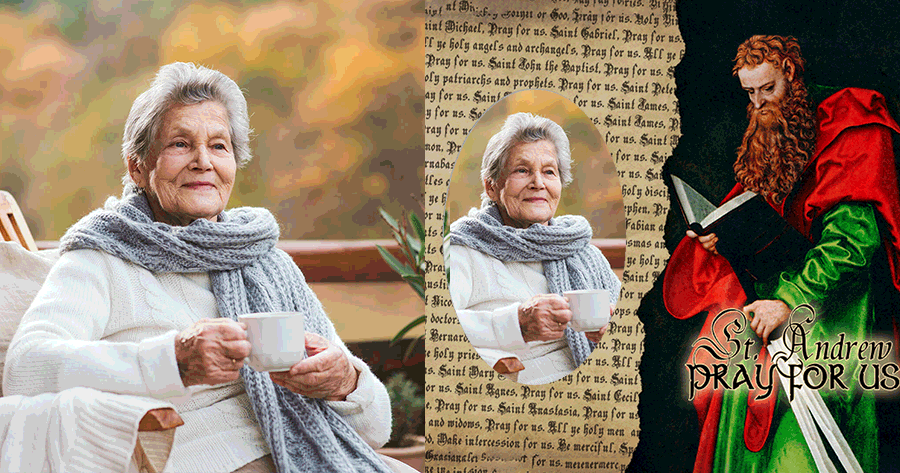 Welcome St. Andrew's Day, Generate Photo Frames For Free