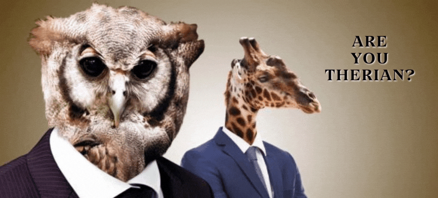 Are You Therian? If So, Which Kind Of Animal You'd Be?