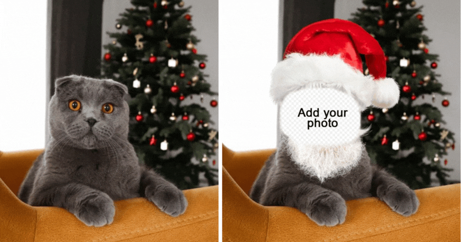 Christmas Pet Effect | Make Yours Now!
