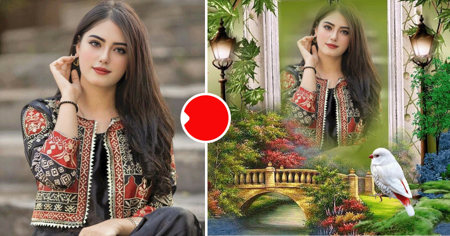 Discover Your New Photo In The Forest